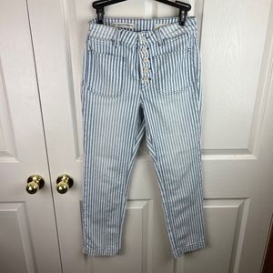 Pilcro and the Letterpress Striped Jeans Button Fly Blue White Size 27